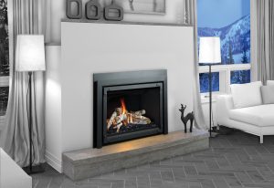 Gas Fireplace Insert